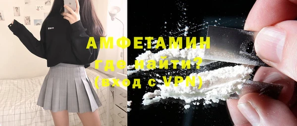 гидра Богданович