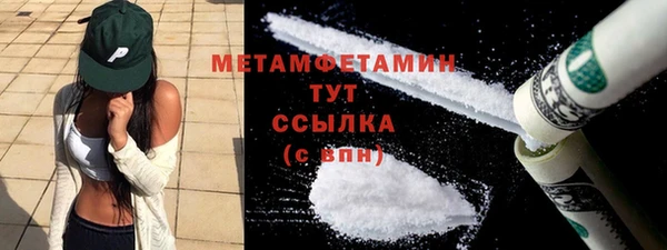 гидра Богданович