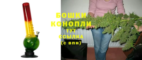 стаф Богородск