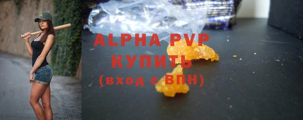 стаф Богородск