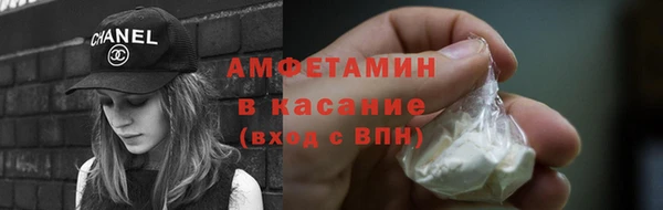 гидра Богданович