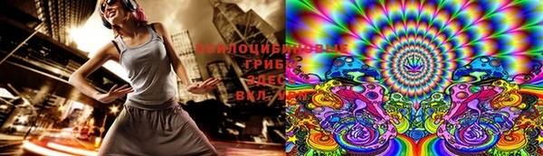 гидра Богданович