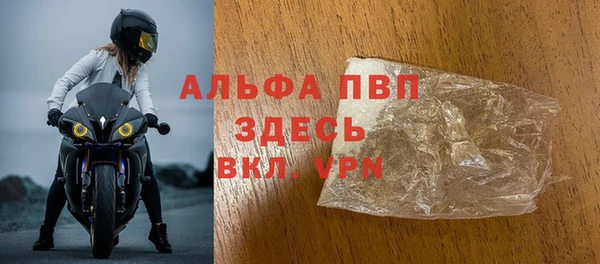 гидра Богданович