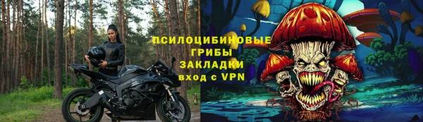прущая мука Богородицк