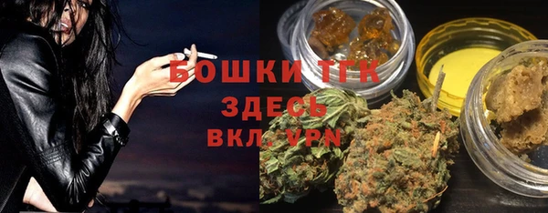 стаф Богородск